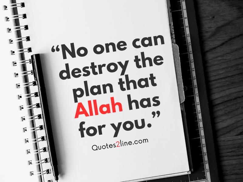 Islamic Quotes - Allah Love Quotes
